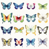 Butterfly Clip Art Watercolor clipart