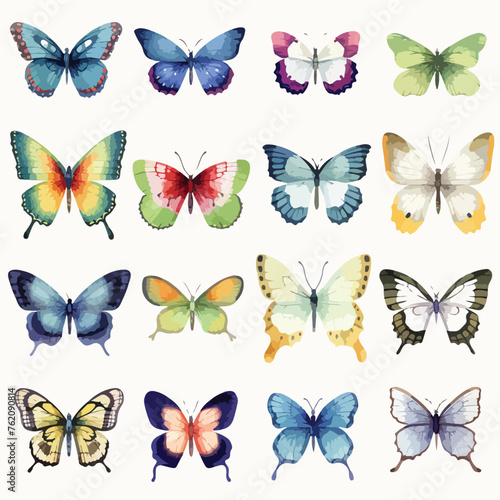 Butterfly Clip Art Watercolor clipart © Aina