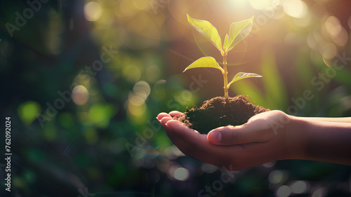 A person is holding a small plant in their hand. The plant is a young sapling, and the person is holding it in the dirt. Concept of nurturing and care for the plant