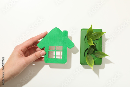 Eco house concept, green rosette with leaves