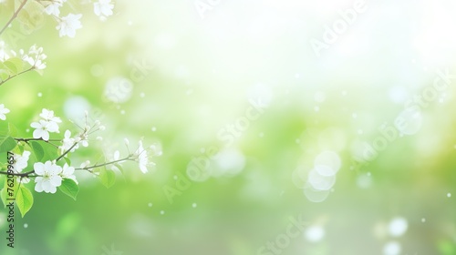 blurred green abstract background. nature abstract background