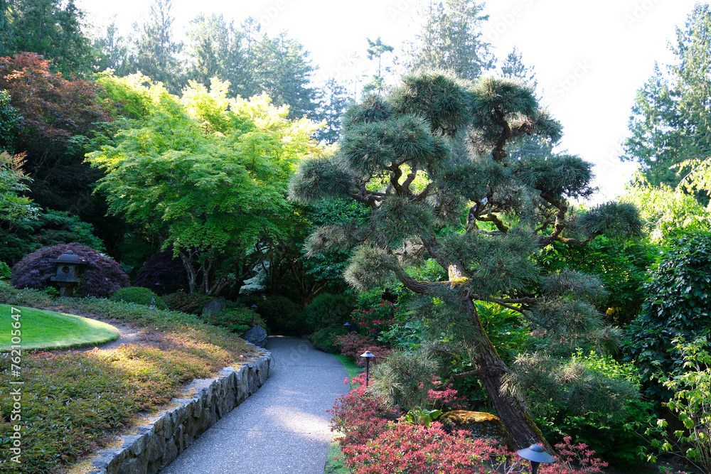 Japanese garden The famous gardens of Butchert on Victoria Island. Canada. The Butchart Gardens