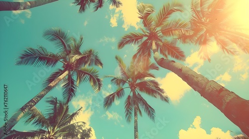  Palm trees background Free Photo  © Phatto