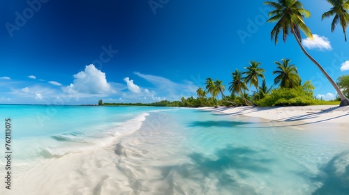 A panoramic view of the pristine white sandy beaches and clear blue waters in an exotic island, with palm trees swaying gently under a bright sun. The beach is surrounded by lush greenery,