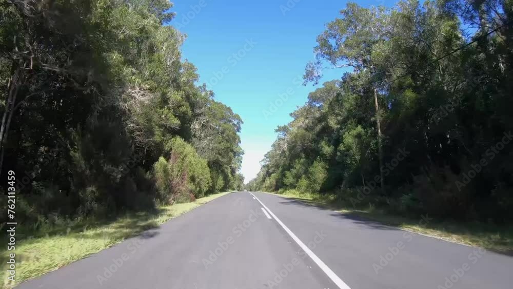 Road running through forest on garden route Road running through forest on garden route