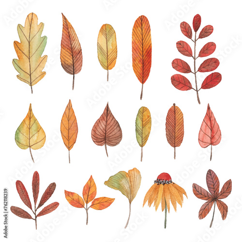 Yellow  brown and orange watercolor autumn illustrations. Cute leaves  branches  flowers and plants design elements. Hand painted watercolor colorful autumn leaves.