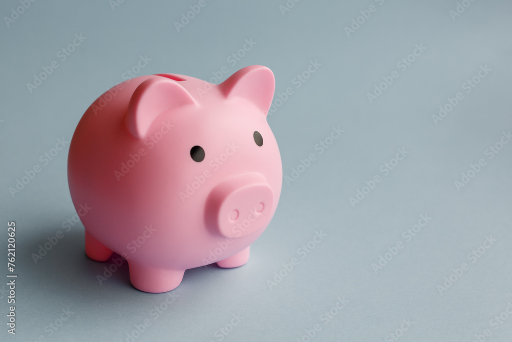 Piggy bank in the form of a pink piglet on a turquoise background. The concept of saving money. Piggy bank in the form of a pink piglet on a turquoise background. The concept of saving money.