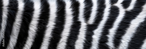 Wallpaper Mural close up  texture of zebra fur background, banner Torontodigital.ca
