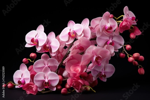 Fragrant Pink orchids flowers. Natural petal. Generate Ai