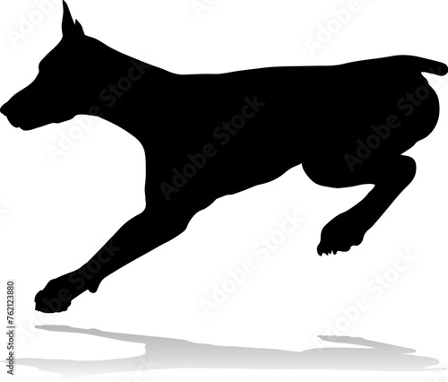 A detailed animal silhouett...