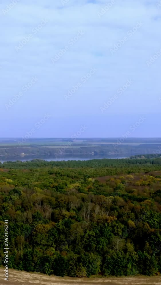 Edge of the forest. Deciduous wood on natural river and fields background. Amazing scenery in the countryside. Peaceful atmosphere of nature. Vertical video Edge of the forest. Deciduous wood on natural river and fields background. Amazing scenery in the countryside. Peaceful atmosphere of nature. Vertical video