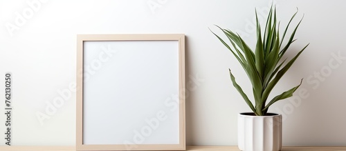 A houseplant in a flowerpot and a rectangular picture frame are placed on a wooden table in a room
