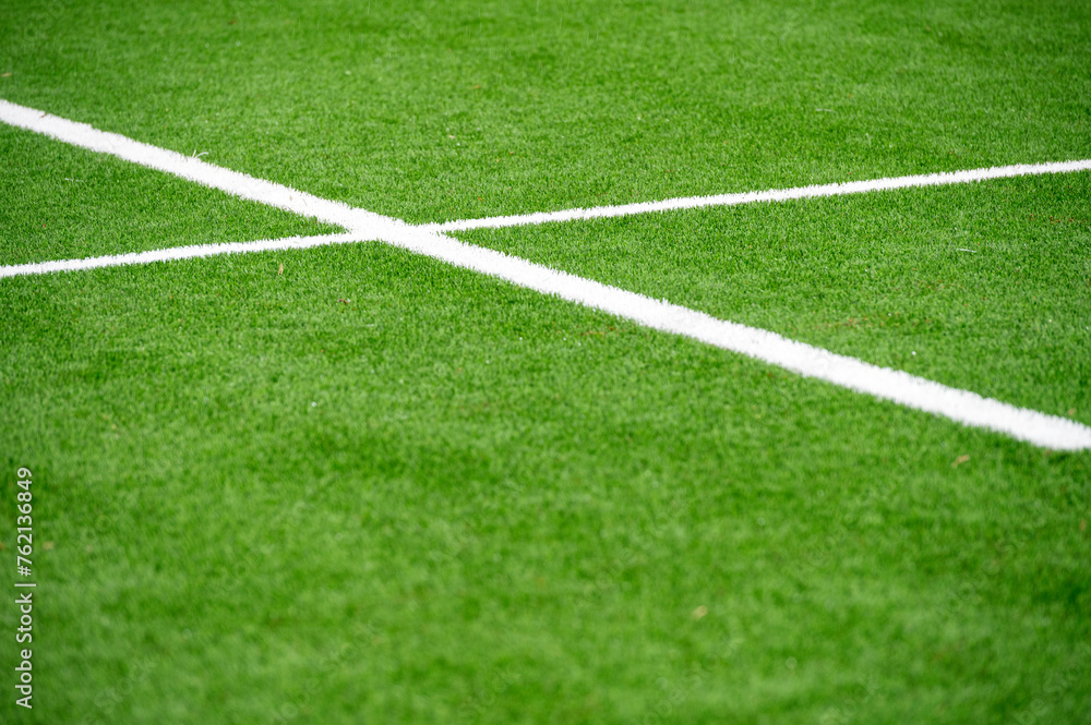 Artificial sports pitch lines.