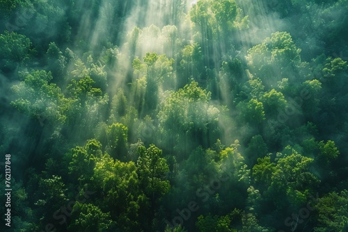 Professional Photography of a Lush Green Forest Canopy, Generative AI © Giantdesign