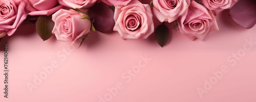 Bunch of Roses Isolated on Pink Background with Copy Text Space Panorama. Generative AI