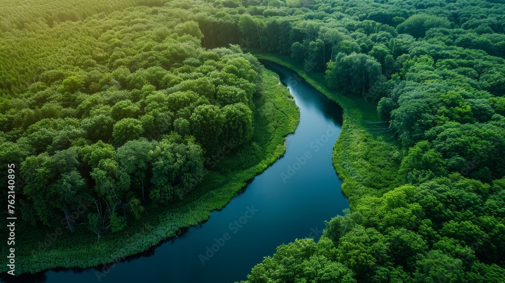 Environmental Challenges : Ecosystems, emphasizing the importance. Environmental Challenges : Ecosystems, emphasizing the importance.