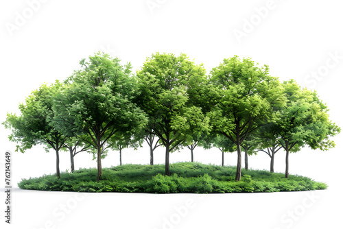 A serene 3D illustration landscape with green trees in the park  perfect for digital art or nature-related designs.