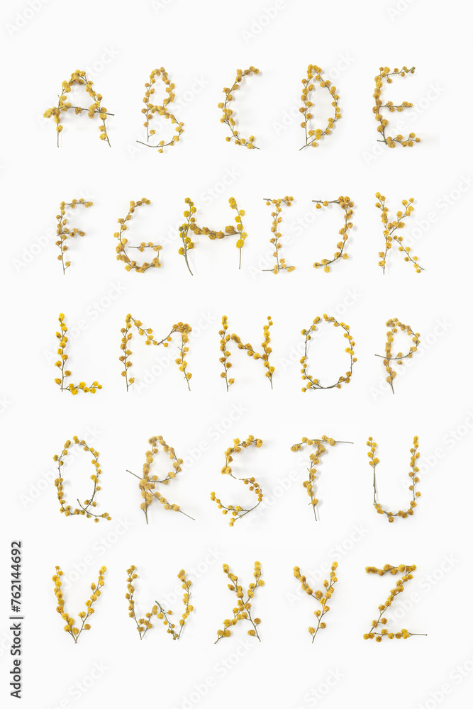 Flower letters. Alphabet made from flowers mimosa yellow. Minimalism. Flower alphabet layout. Flat lay Flower letters. Alphabet made from flowers mimosa yellow. Minimalism. Flower alphabet layout. Flat lay