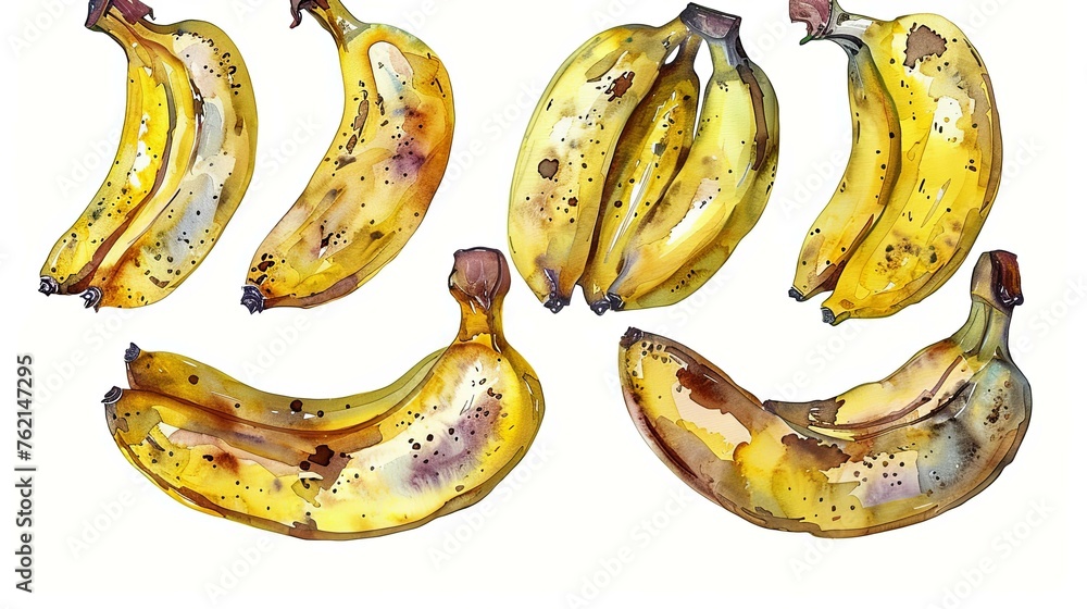 banana fruit watercolor isolated on white background banana fruit watercolor isolated on white background