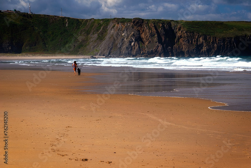 Mujer caminado sola con un perro por la playa photo