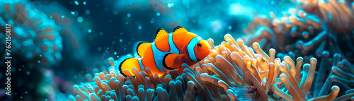 Vibrant clownfish duo peeking from azure anemone macro underwater scene