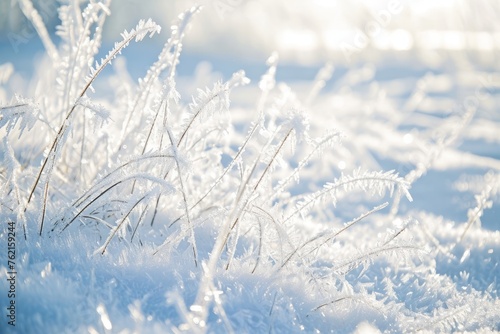 Winter background and winter morning. Frozen grass under the snow, snowflakes and sunlight, rays. © Zero Zero One