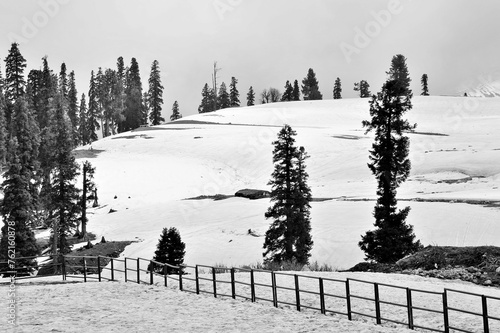 Metal fence, Snow landscape, Kungdoor, Gulmarg, Baramulla, Kashmir, Jammu and Kashmir, India, Asia photo