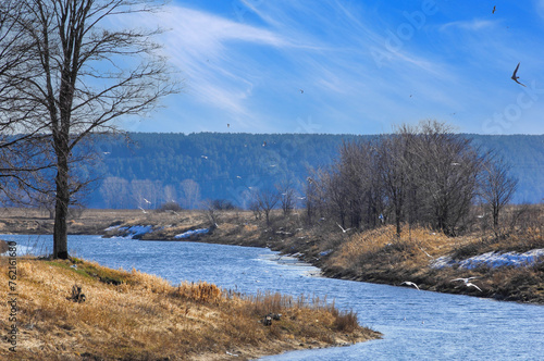 Witness the beauty of nature as winter melts and spring blooms. Experience the awakening of the river and the vibrant colors of new life. See trees transform from bare branches to lush green leaves.