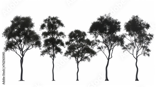 Set black silhouette cedar elm trees isolated on white background. AI generated image © yusufadi