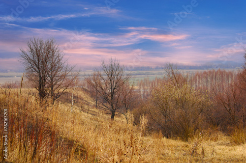 The yellow fields contrast with the remaining patches of white snow. The trees stand bare against a cold background. The landscape transitions from winter to spring  showing signs of new life emerging