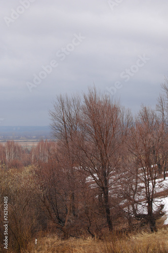 The yellow fields contrast with the remaining patches of white snow. The trees stand bare against a cold background. The landscape transitions from winter to spring, showing signs of new life emerging