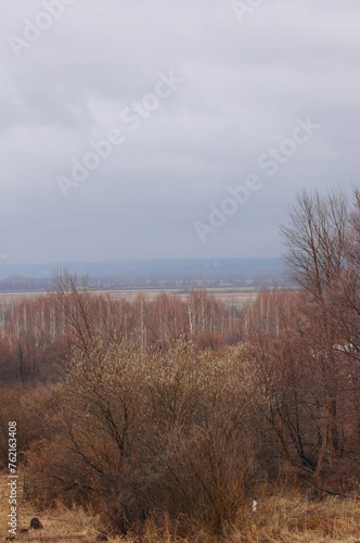 Yellow fields contrast with white snow. The trees stand bare against the backdrop of a cold winter landscape. The transition period from winter to spring is captured in one scene. © Alexandr