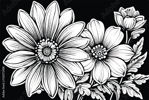 Fototapeta Naklejka Na Ścianę i Meble -  Abstract elegance seamless pattern with floral background. Flower Coloring Page, Flower Line Art Vector. Coloring book flowers doodle style black outline. Line art floral black and white background.  