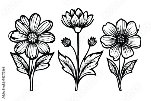  Abstract elegance seamless pattern with floral background. Flower Coloring Page  Flower Line Art Vector. Coloring book flowers doodle style black outline. Line art floral black and white background.
