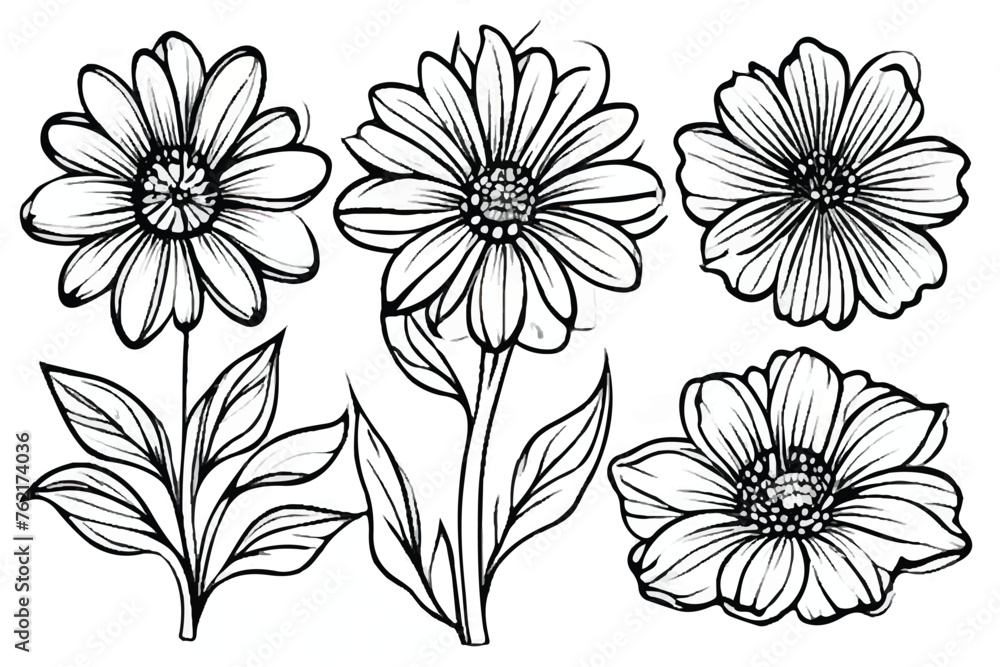 Abstract elegance seamless pattern with floral background. Flower Coloring Page, Flower Line Art Vector. Coloring book flowers doodle style black outline. Line art floral black and white background.  