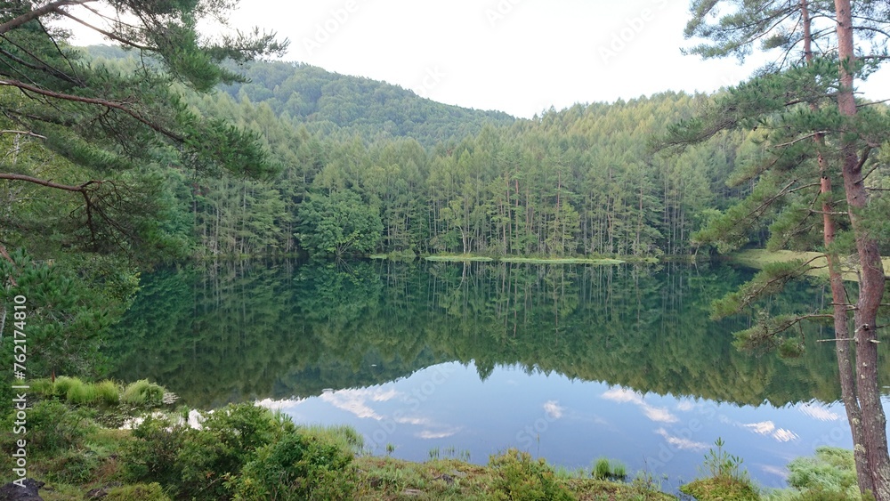 Obraz premium reflection green