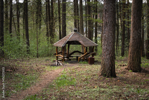 Wooden gazebo in the forest in Lithuania in spring.