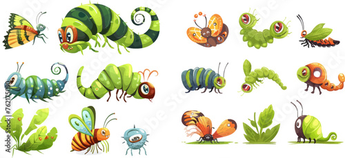 Cartoon caterpillar insects metamorphosis, eggs, larva, pupa, imago stages vector illustration