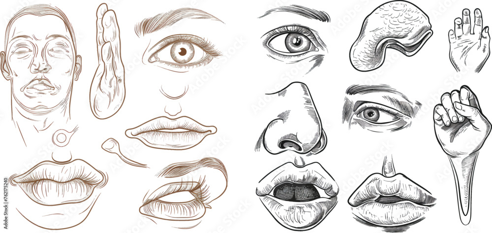 Mouth to feel taste, nose to smell and ear to hearing. Hand to touch and eye to vision Mouth to feel taste, nose to smell and ear to hearing. Hand to touch and eye to vision