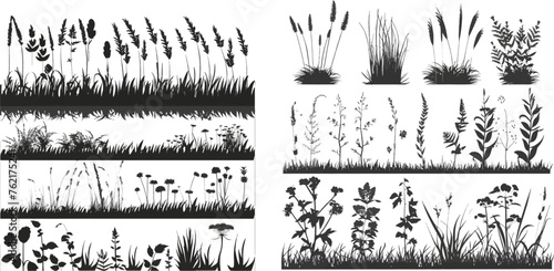 Black grass silhouettes  natural environment herb borders  grass panorama