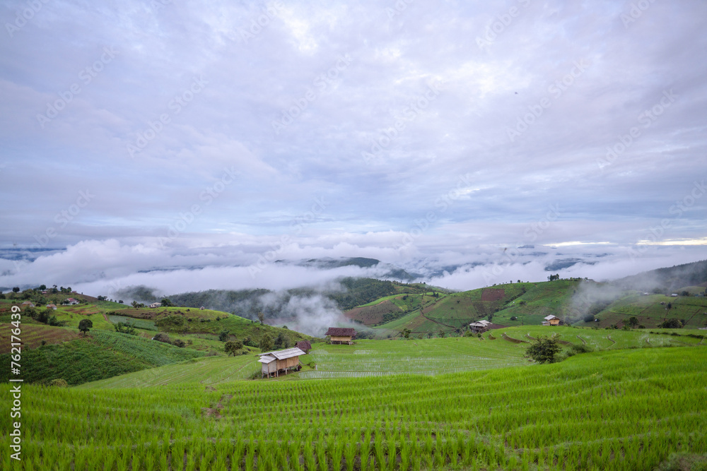 Misty Morning Over Lush Green Rice Terraces