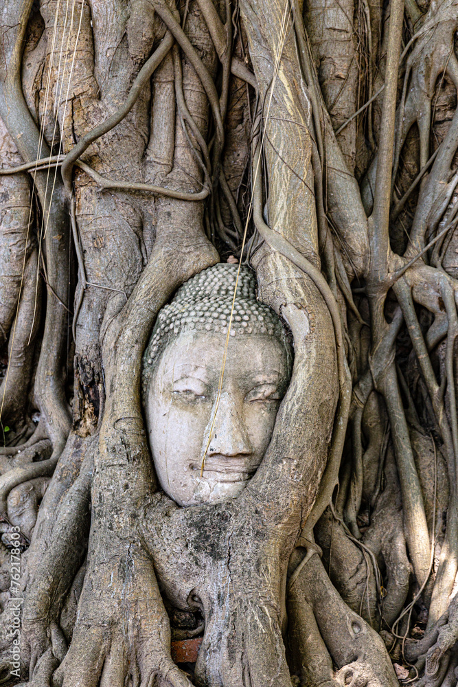 The Buddha head nestled within tree roots in Ayutthaya, Thailand