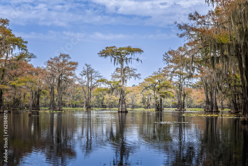 The beauty of the Caddo Lake with trees and their reflections at sunrise