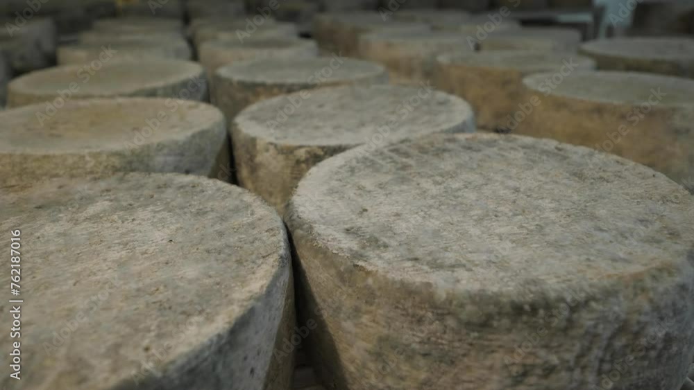 Beautiful appetizing cheese heads with mold on shelve of cheese factory close-up Beautiful appetizing cheese heads with mold on shelve of cheese factory close-up