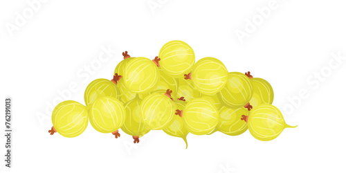 Gooseberry heap isolated on white. Vector cartoon flat illustration of fresh ripe berry.