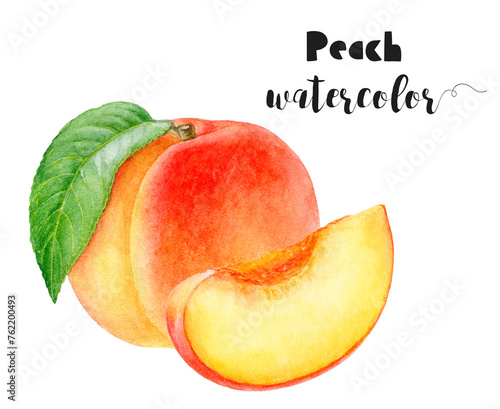 Watercolor illustration of peach fruit with branch close up. Design template for packaging, menu, postcards. PNG
