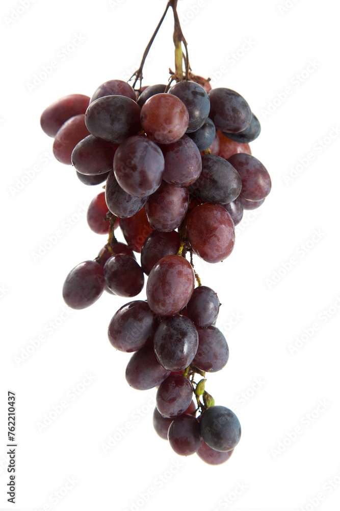 Fototapeta premium Bunch of organic black grapes isolated on white background.