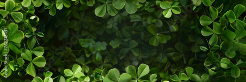 Banner Frame Made Of Clover Leaves On Dark Green Background. Three-leaved Four-leaved Shamrocks. Patrick Day Holiday Symbol Wide Panorama. Template For Design Space for Text