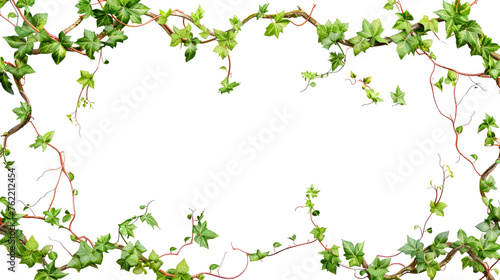 Rectangular Twisted Vines set against a white backdrop