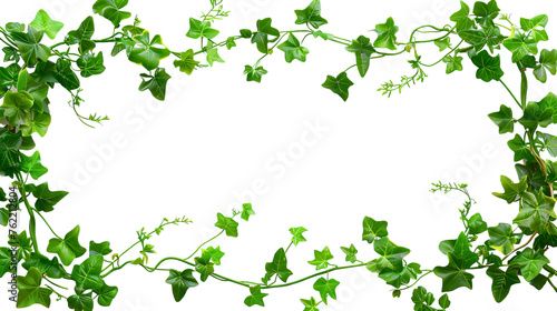 Twisted Vines arranged in a rectangular fashion on a white background
